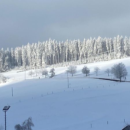 Im Salzgassle Apartment Schonach im Schwarzwald Exterior photo